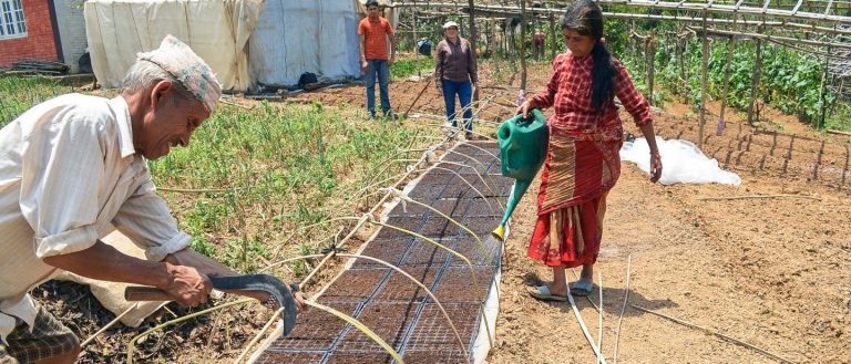 प्लाष्टिक घर (टनेल) भित्र तरकारी खेती