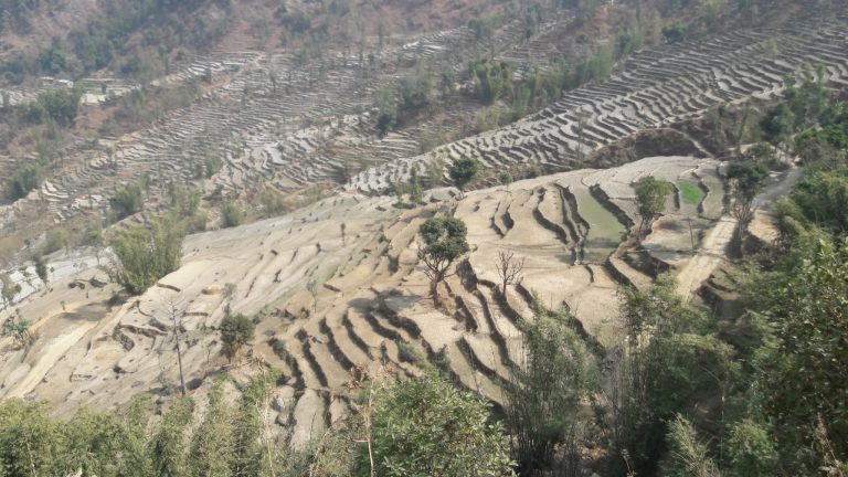 लामो समय खडेरी पर्दा खेतीयोग्य जमिन बाँझैं