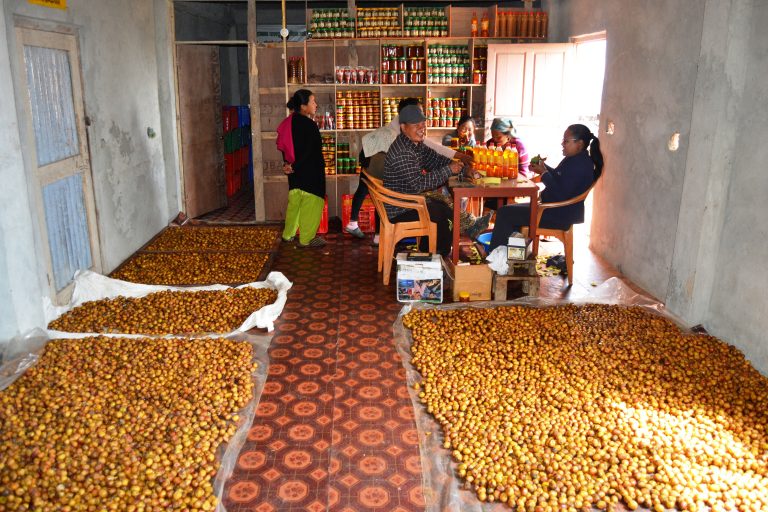 कृषि क्षेत्रमा सम्भावना : गाउँ कै कच्चा पर्दाथ, गाउँ मै रोजगारी