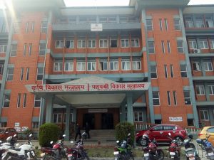 गोरखाका राजेन्द्रराज पन्त भए यो वर्षको उत्कृष्ट कृषक
