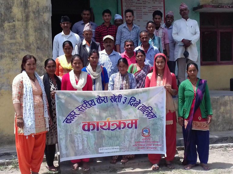 किसानलाई केराखेतीतर्फ आकर्षित गराउन व्यावसायिक केराखेती तालिम