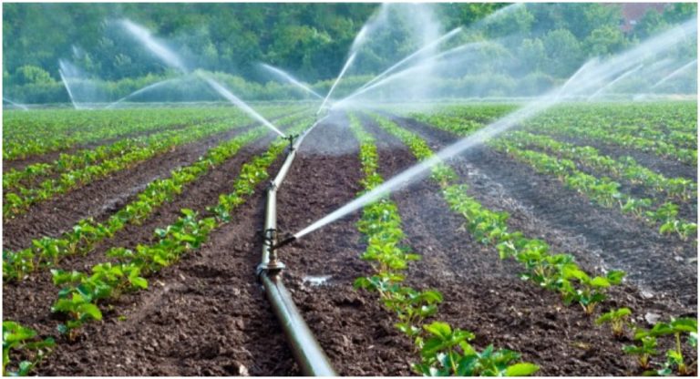 स्थानीय तहका जनप्रतिनिधिको कृषि मोह,मुहार फेर्दै बगनासकाली गाउँपालिका