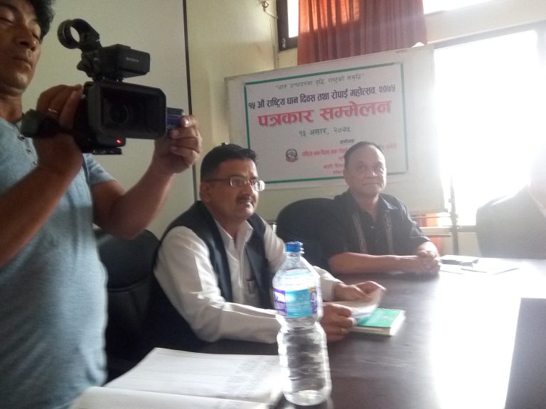 धान उत्पादनमा वृद्धि राष्ट्रको समृद्धि नाराका साथ पन्ध्रौ धान रोपाइ महोत्सव हुने