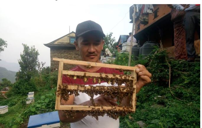 काम गरे सम्भावना कती कती ? (मौरी पालेरै वर्षको २० लाख कमाइ)