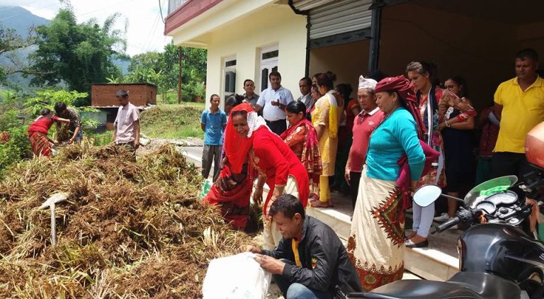 कुश्मा नगरपालिका –७ का किसानलाई बहुवर्षे घासको बिरुवा वितरण