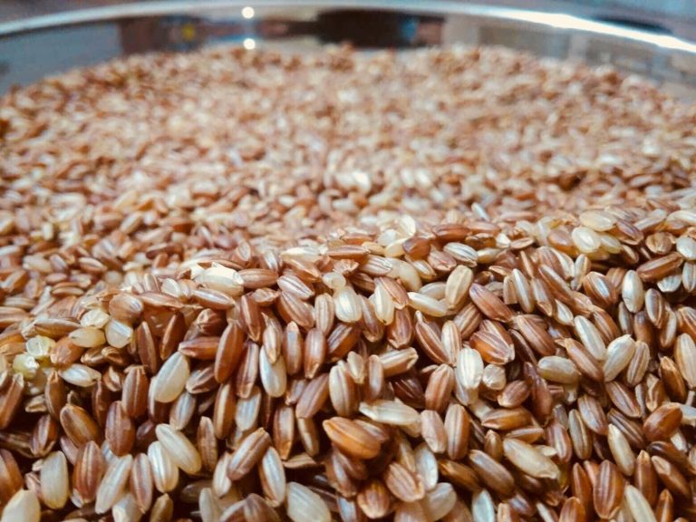 धेरै बेर अघाउने मार्सी चामलको भात