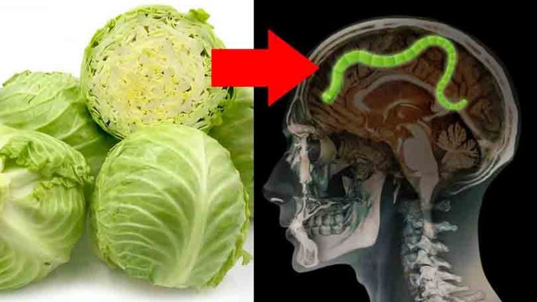 तरकारीजन्य खाद्यमा ध्यान नदिदा नाम्लेकिराले ज्यान लिन सक्छ
