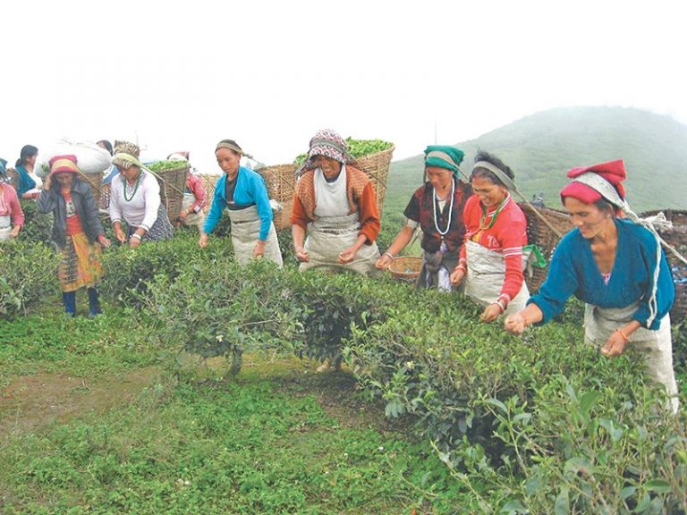 मजदूरको ज्याला पाँच प्रतिशत बढयो
