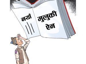मुलुकी ऐन : गाई गोरुलाई मारे तीनवर्ष जेल