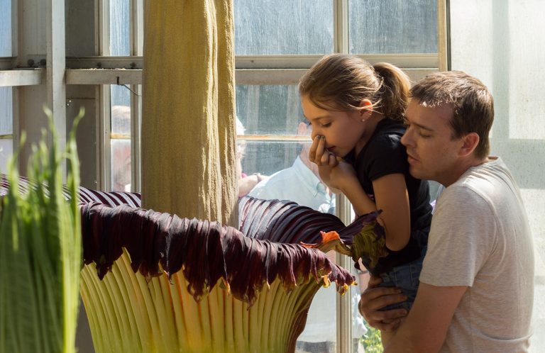 राेपेकाे १५ वर्षपछि फूल्ने याे गन्हाउने ‘लास फूल’