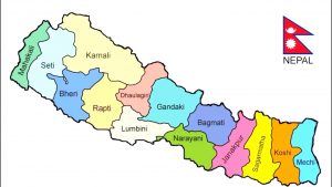 दुई तीहाई नागरिक कृषक भएको देशमा वार्षिक करोडौंको कृषिजन्य सामाग्री निर्यात