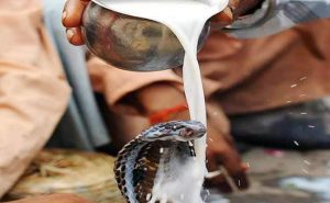 nag-panchami