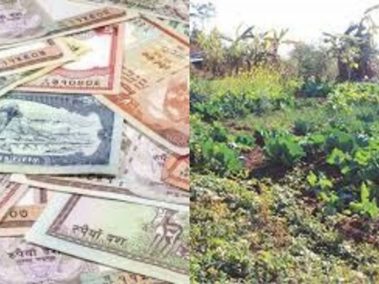 जब भिरपाँखामा लाखौ रुपैयाँ फल्यो….