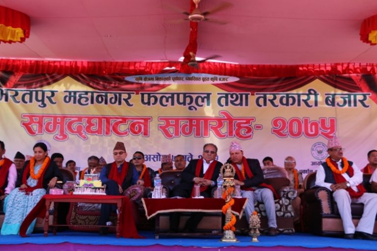 चितवनमा १४ करोड लगानीमा बनेको तरकारी बजार संचालनमा