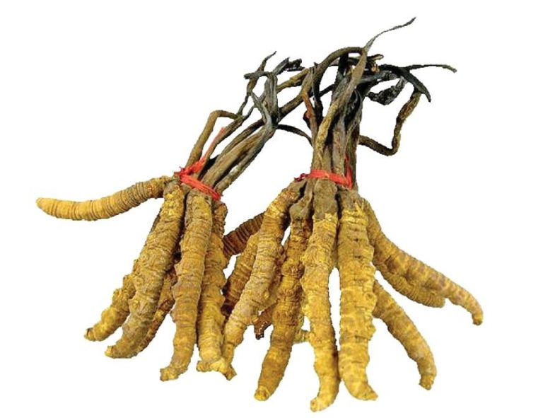 नेपालको दुर्दशा – आफ्नै उत्पादन सस्तोमा बेच्ने महँगोमा किन्ने