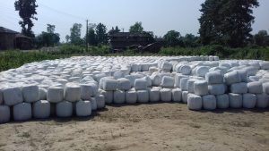 नेपालमै पहिलो पटक व्यवसायिक साइलेज उत्पादन सुरु