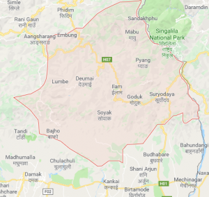 अलैँचीकाे विकल्प खाेज्न थाले इलामका किसान