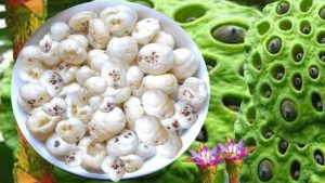 लोप हुँदै मखान खेती