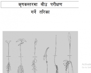 यसरी गर्नुहोस कृषकस्तरमा नै बीउको गुणस्तरियता परीक्षण