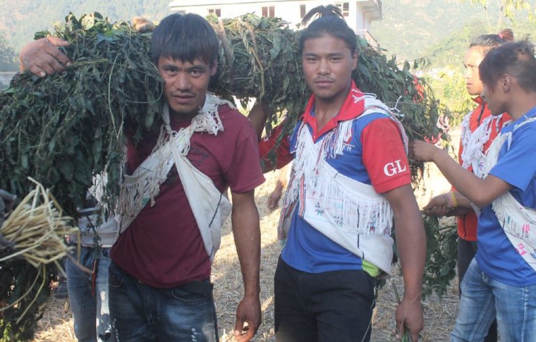 यस्ताे अनाैठाे मेला जहाँ सिस्नाे खाेसिन्छ