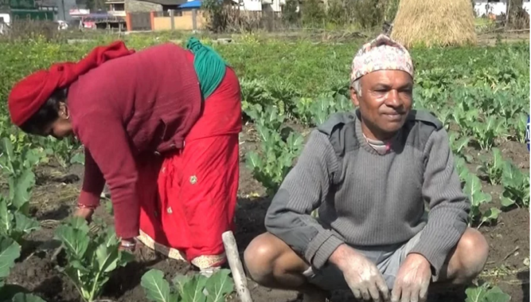 ‘किसानलाई पेन्सन चाहिएन, तरकारी बेच्ने ठाउँ देऊ’