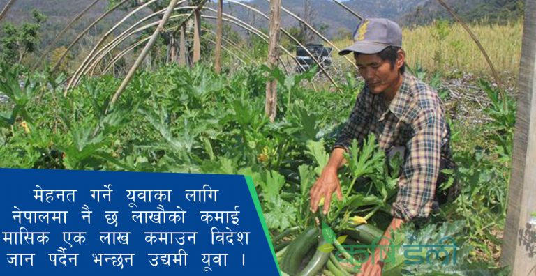 कृषि उद्यमका लागि बिना ब्याज रकम, नेपालमा नै लाखौ कमाउँछन युवाले