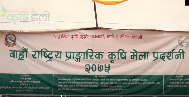 यस्ता छन प्राङगारिक कृषि मेलाका आकर्षण (भिडियोसहित)