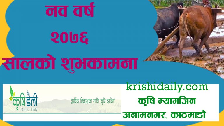 नयाँ वर्ष २०७६ सालको शुभकामना