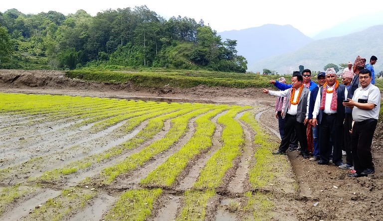 स–साना टुक्रामा विभाजित जमीनलाई एकीकरण गर्छौ : मन्त्री थापामगर