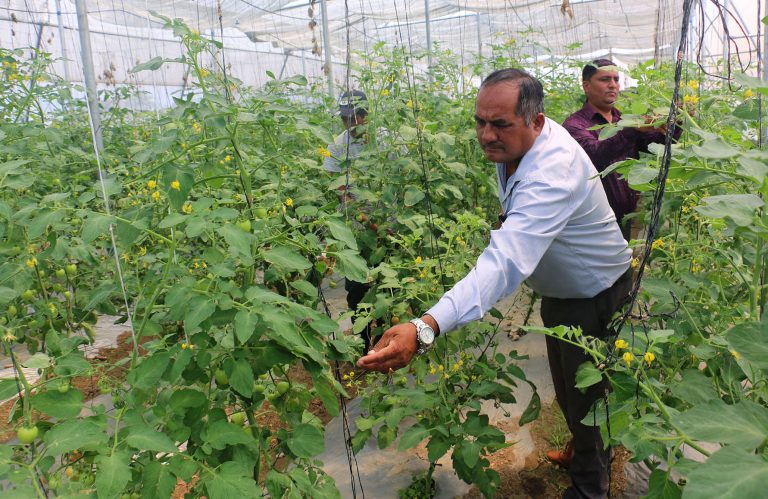 व्यवसायिक र आधुनिक कृषक बन्न सके नेपालमै छ मनग्य धन