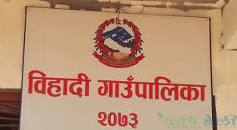 बिहादी गाउँपालिकाले यो आर्थिक वर्षमा कृषिको क्षेत्रमा गरेका काम