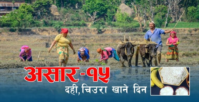 असार १५ मा दही, चिउराको महत्व किन ?