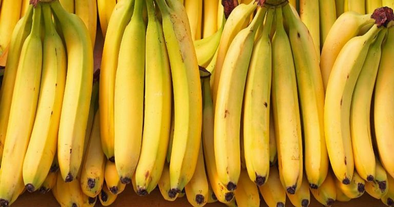 सफल बन्नका लागि यसरी गर्नुहाेस केरा खेती