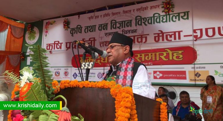 कृषिलाई आधुनिकीकरण र व्यवसायीकरण गर्न नसके देशको विकास हुँदैन : प्रचण्ड
