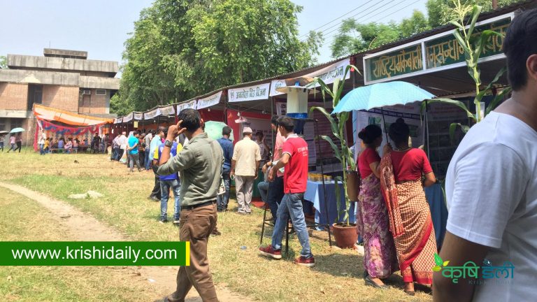 सकियो कृषि मेला, ५ हजार जनाले गरे अवलोकन