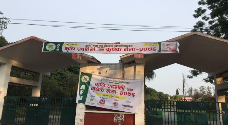 यसरी हुँदैछ रामपुरमा हुने कृषि प्रदर्शनी तथा कृषक मेलाको तयारी (फोटोफिचर)