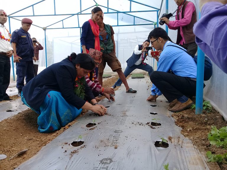 कर्णाली प्रदेश अर्गानिक नमुना गाउँ बनाउन सक्रिय