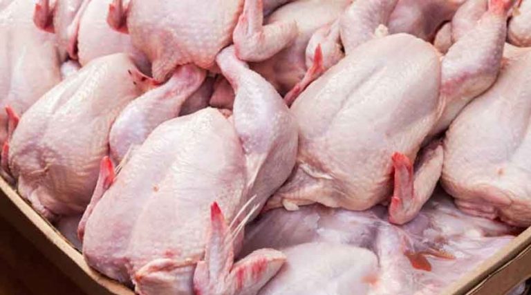 १५ दिनमा १५० रुपैयाँ सस्तो भयो ब्रोइलर कुखुराको मासु