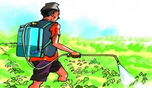 विषादीको आयात र प्रयोगलाई नियमन गर्ने सरकारको तयारी