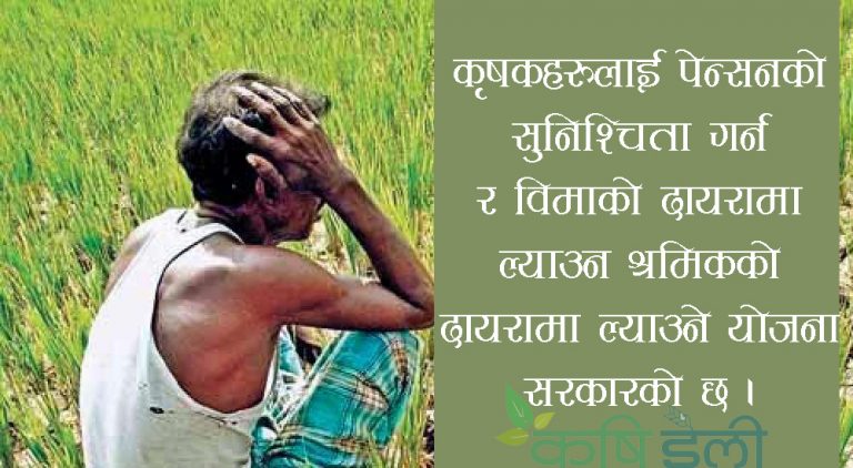 किसानलाई पेन्सनको व्यवस्था गर्ने सरकारको योजना