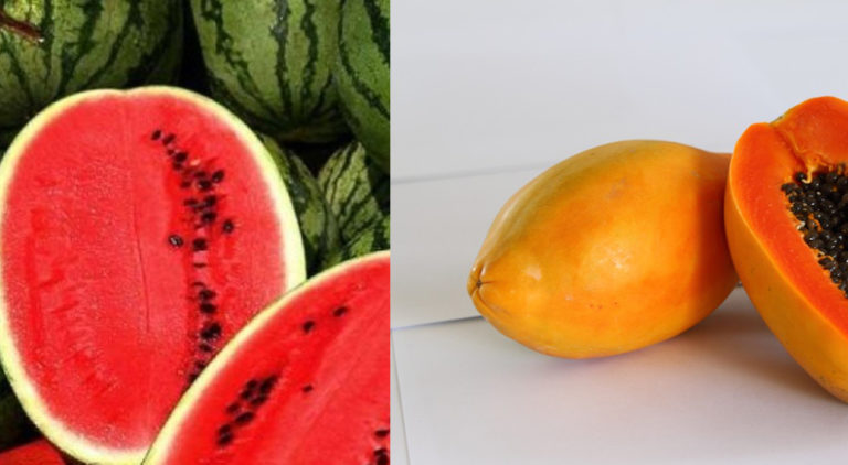 नेपालबाट दुबईमा खरबुजा र मेवा निर्यात