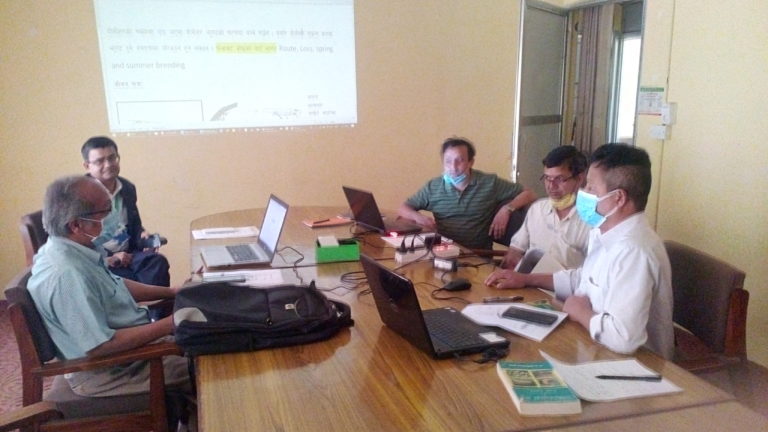 सलह किरा व्यवस्थापनका लागि कार्ययोजना तयार (यी हुन कार्ययोजनामा समावेश गरिएका योजना)