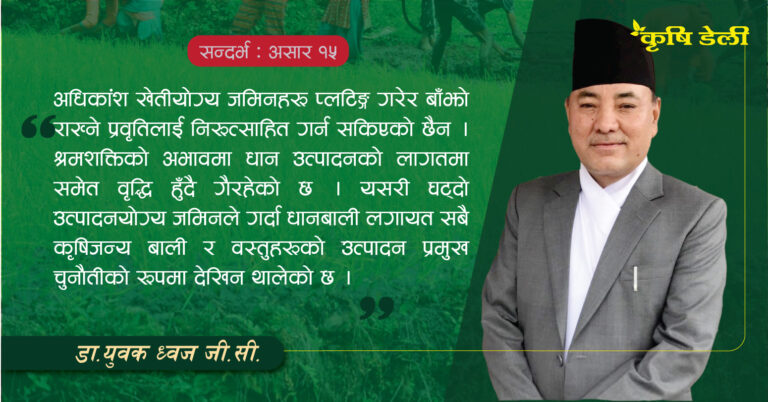 नेपालमा के इन्द्र महाराजले मात्र धान फलाएका हुन त ?