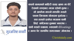 कालो धान, फाइदा र खेती प्रविधि