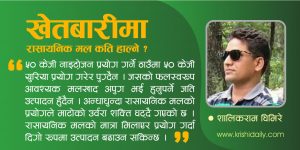 खेतबारीमा रासायनिक मल कति हाल्ने ?