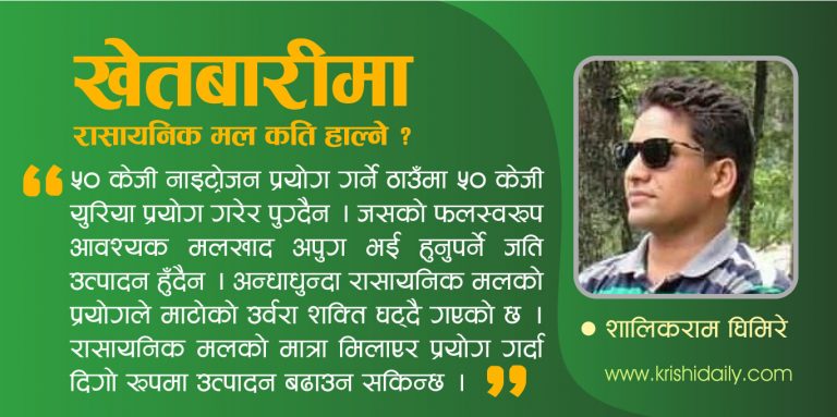 खेतबारीमा रासायनिक मल कति हाल्ने ?