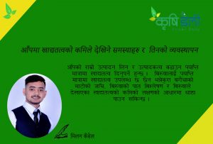 आँपमा खाद्यतत्वको कमीले देखिने समस्याहरु तथा व्यवस्थापन