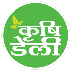 cropped-Kirshi-daily-logo_-3.png