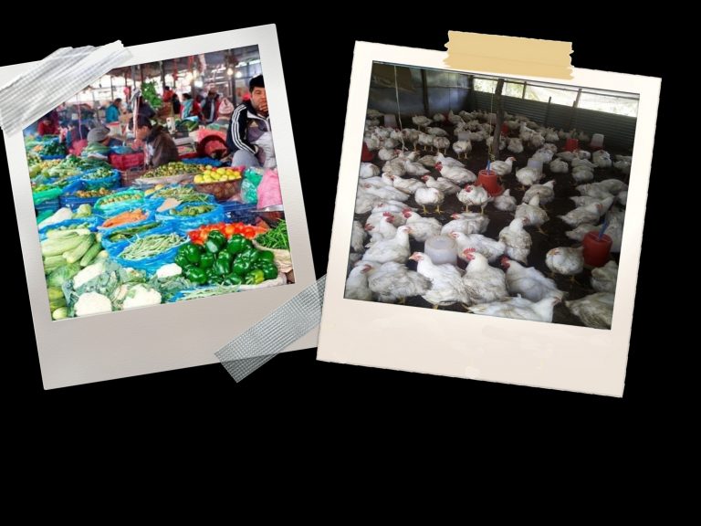 कोरोनाको असर : कुखुरा आधा सस्तो मूल्यमा पनि बिकेन, तरकारी किन्नै सकिएन