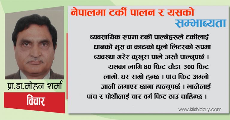 नेपालमा टर्की पालन र यसकाे सम्भाव्यता